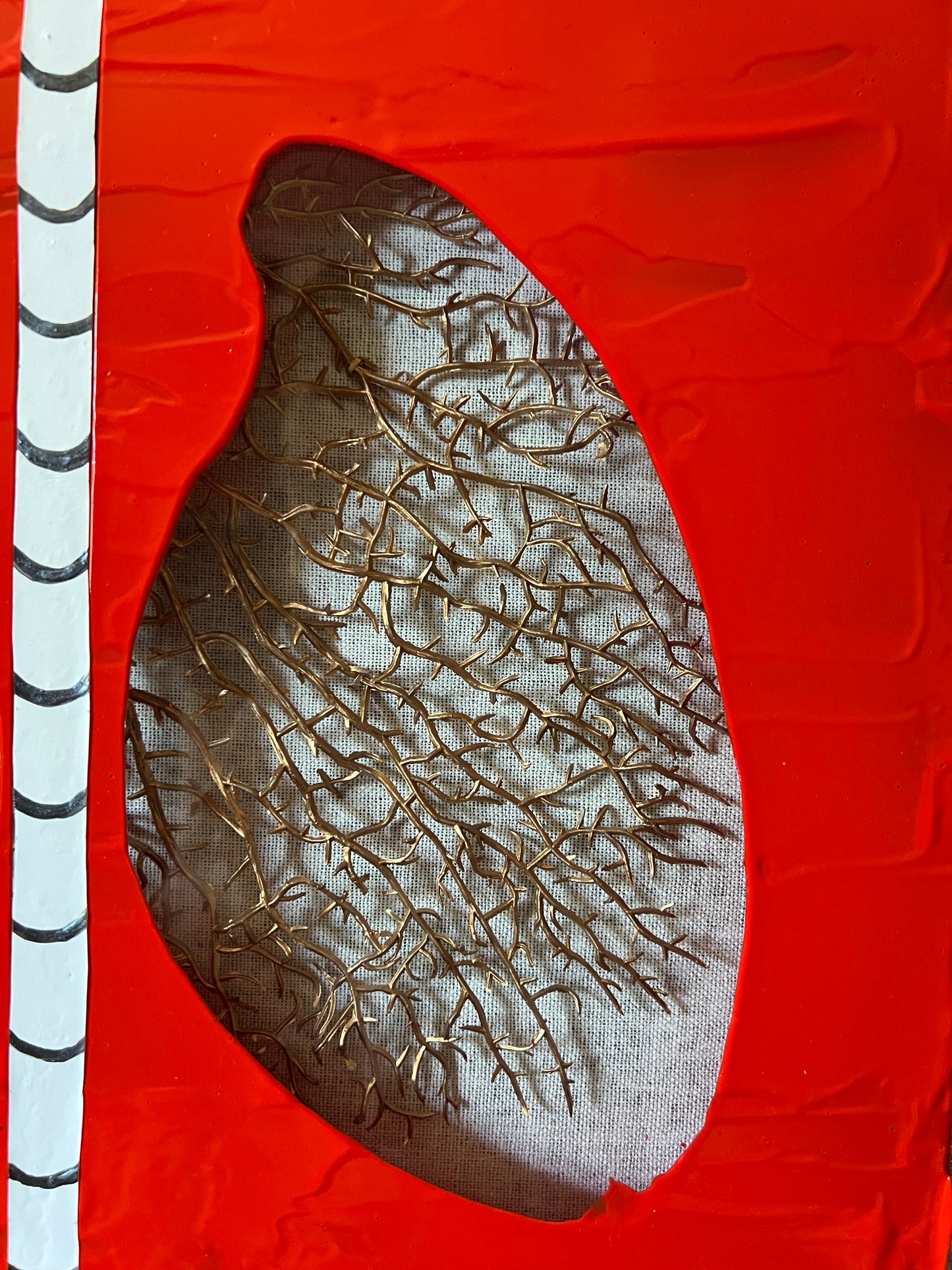 Coral Lungs