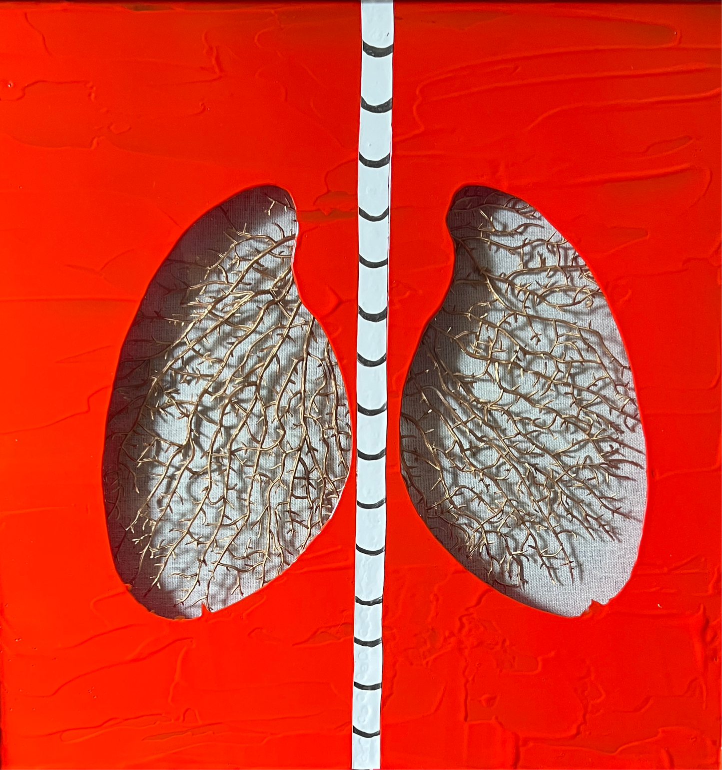 Coral Lungs