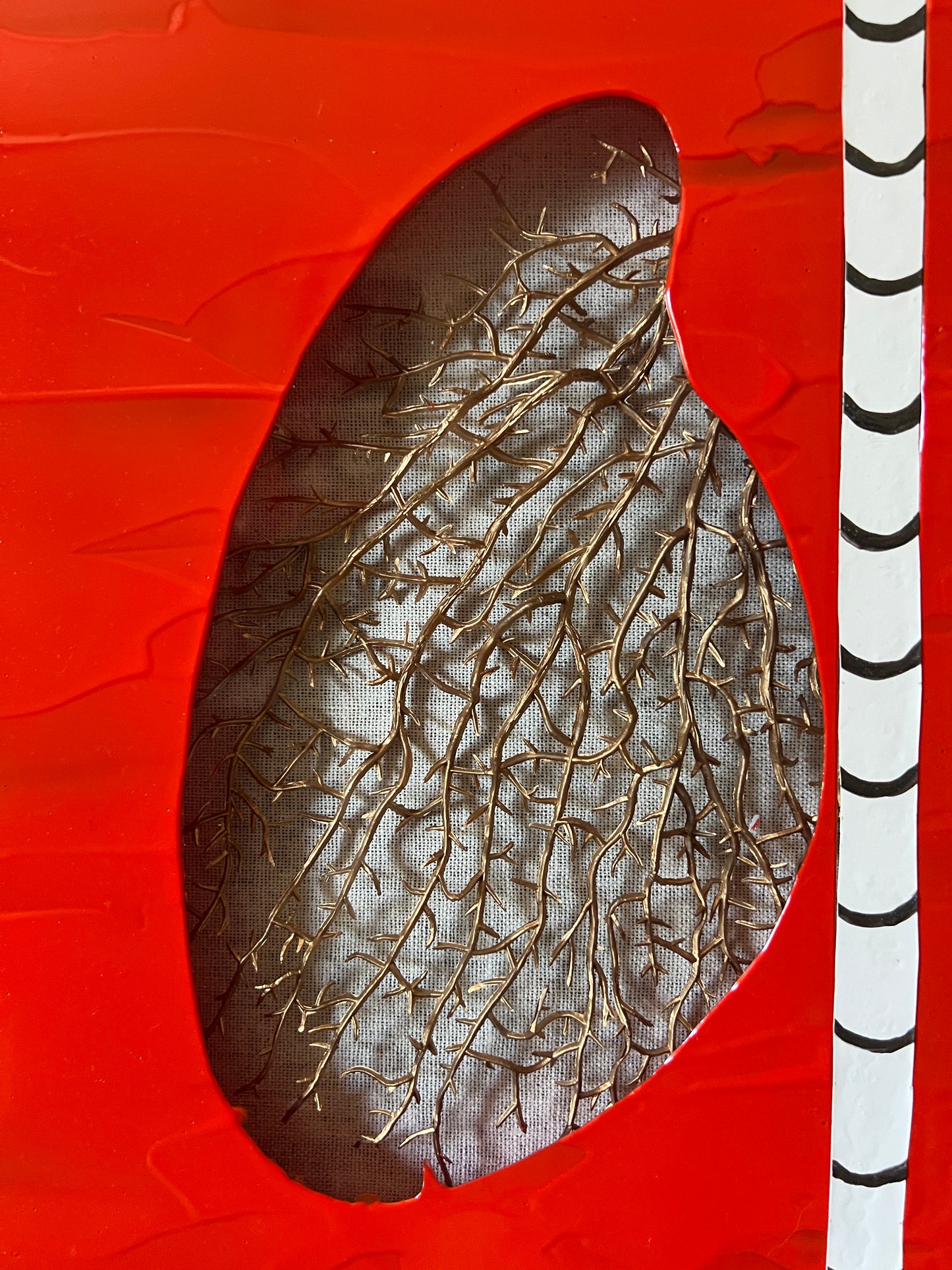 Coral Lungs